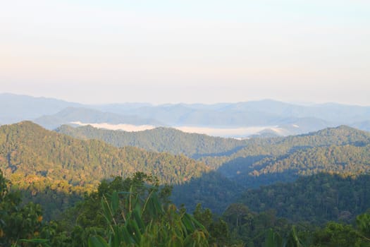 sea of fog with forests as foreground. This place is in the Kaeng Krachan national park, Thailand