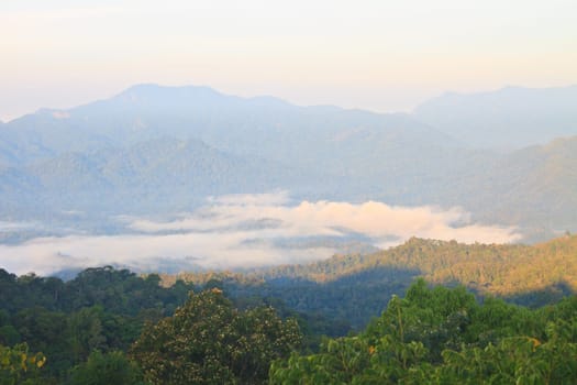sea of fog with forests as foreground. This place is in the Kaeng Krachan national park, Thailand