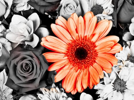 Pink Flowers