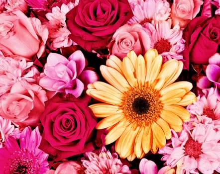 Flower background