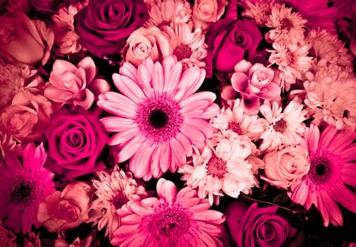 Pink Flowers
