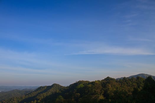 green forest and blue sky background