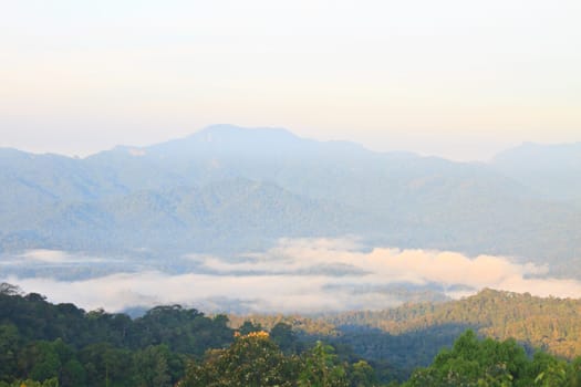 sea of fog with forests as foreground. This place is in the Kaeng Krachan national park, Thailand