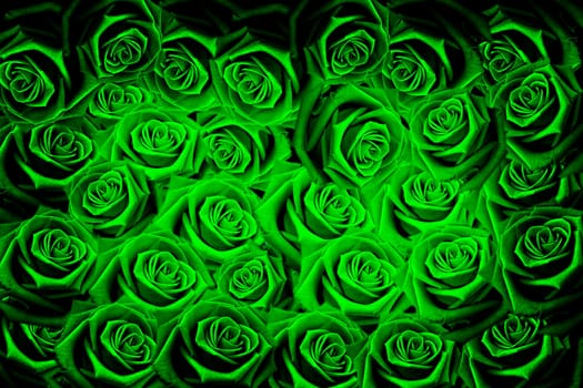 Natural red roses background