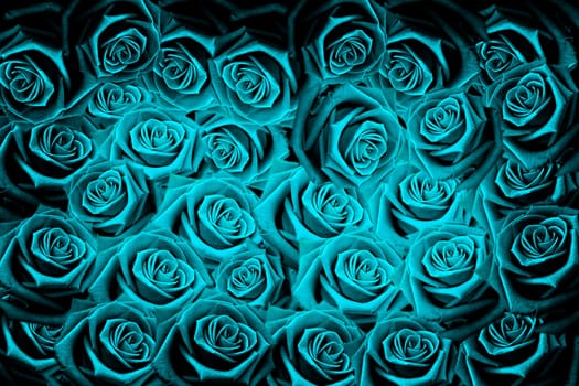 Natural red roses background
