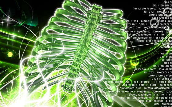 Digital illustration of rib cage in colour background
