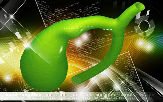 Digital illustration of pancreas in colour background