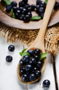 Fresh blueberries in wooden spoon