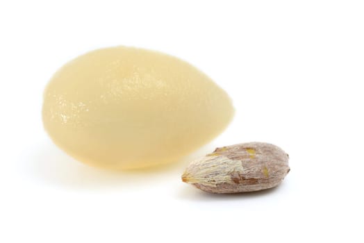 rambutan seed