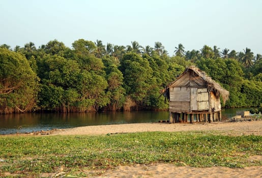 A pigsty in Sri Lanka