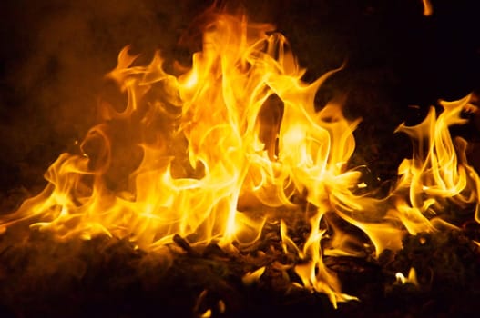 Flames and smoke fill this image of a ceremonial fire during a mayan ritual.