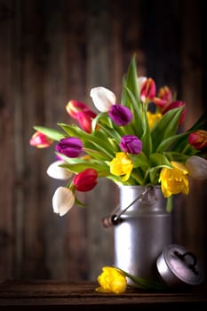Tulips in rustic tin cans