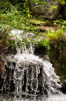 Splashing and foaming water falling down a with plants overgrown waterfall