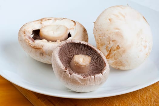 Detail of the edible mushroom - button mushroom - champignon