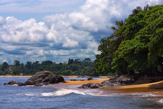 Tropical Coast