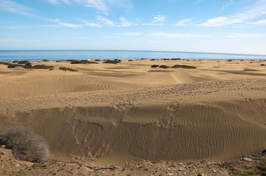 African European Sand Dune Desert Landscape in Gran Canaria Island Spain