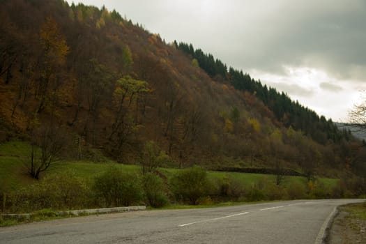 The road to the house in the mountains