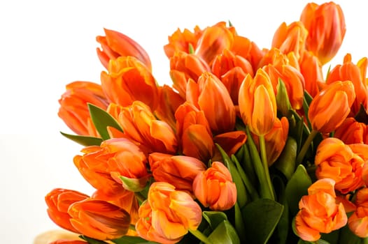 Bunch of spring tulips flowers on white background