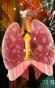 Digital illustration of human lungs in colour background