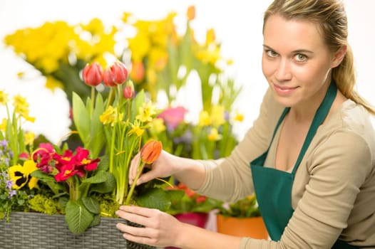 Florist arrange spring flower potted colorful plants decoration
