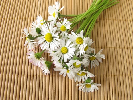 A bouquet of daisies