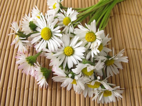 A bouquet of daisies