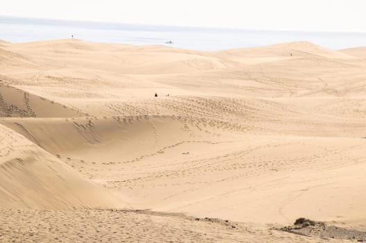 African European Sand Dune Desert Landscape in Gran Canaria Island Spain