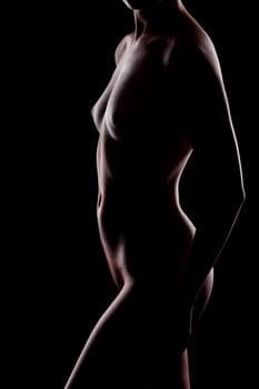 Erotic contour of beautiful nude woman on black background