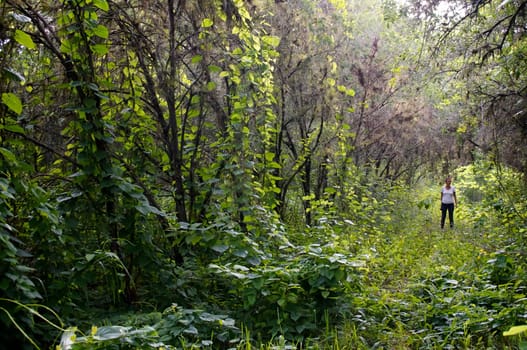 A young woman is lost in the middle of an overgrown forested area in tropical florida, she is looking at viewer from a distance.