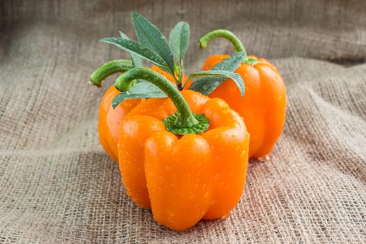 Orange sweet pepper with leaves on a Sackcloth background