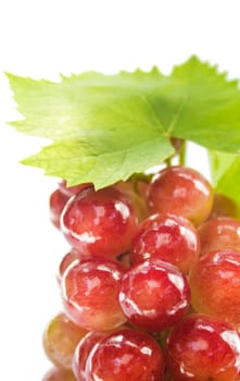 Ripe grapes with leaf, isolated on white background.  (with clipping work path)