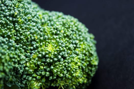Fresh broccoli on black background.