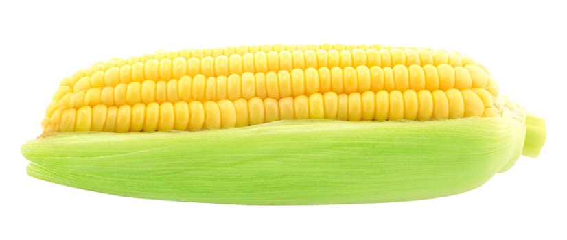 ear of corn isolated on a white background (with clipping work path)