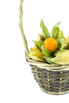 Cape gooseberry, physalis in basket isolated on white background.