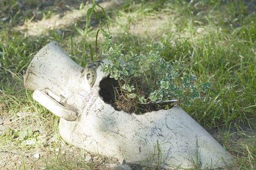 Antique jug with flowers on green grass