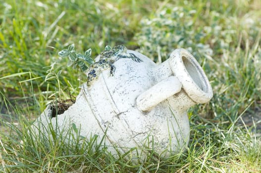 Antique jug with flowers on green grass