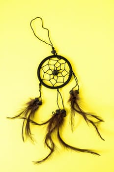 Typical Indian Dreamcatcher on a Colored Background