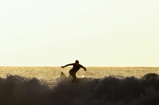 Backlight Silhouette Surfer in the Ocean at Sunset