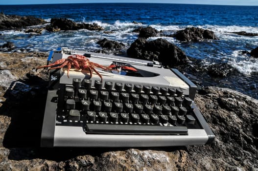 Old Ancient Vintage black and white Travel Typewriter