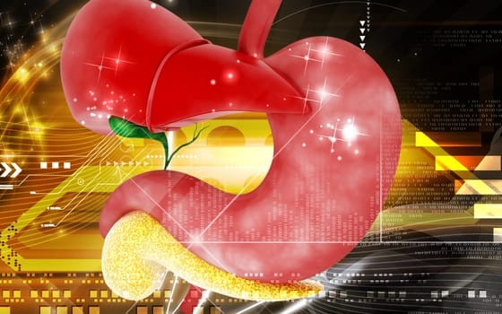 Digital illustration of Liver and stomach in colour background