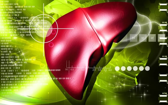 Digital illustration of liver in colour background