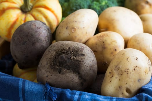 Fresh raw potatoes and beets in basket with other vegetables