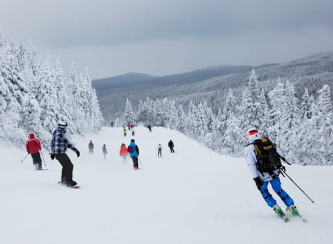 Mont-Tremblant , Quebec, Canada - February 9, 2014: Skiers and snowboarders are sliding down an easy slope at Mont-Tremblant Ski Resort. It is acknowledged by most industry experts as being the best ski resort in Eastern North America.