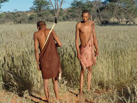 Katsan, Namibia - April 26