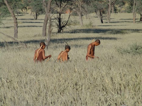 Katsan, Namibia - April 26