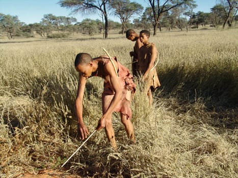 Katsan, Namibia - April 26