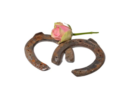 old horseshoe luck