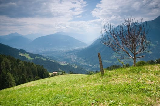 Landscape view from an alpine meadow with shrub and fence post over the Merano valley in summer over cloudy sky  the peaks of the Texel Group in the background