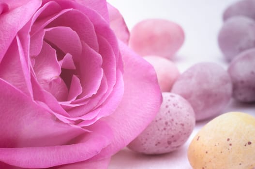 large rose blossom,decorated with colorful Easter eggs