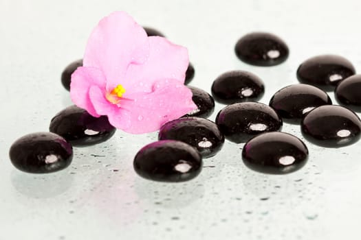 Spa stones and pink flower on colorful spring background